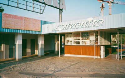 Fieberhaft irrten seine Augen durch die nächtliche Dunkelheit und suchten einen Ausweg.